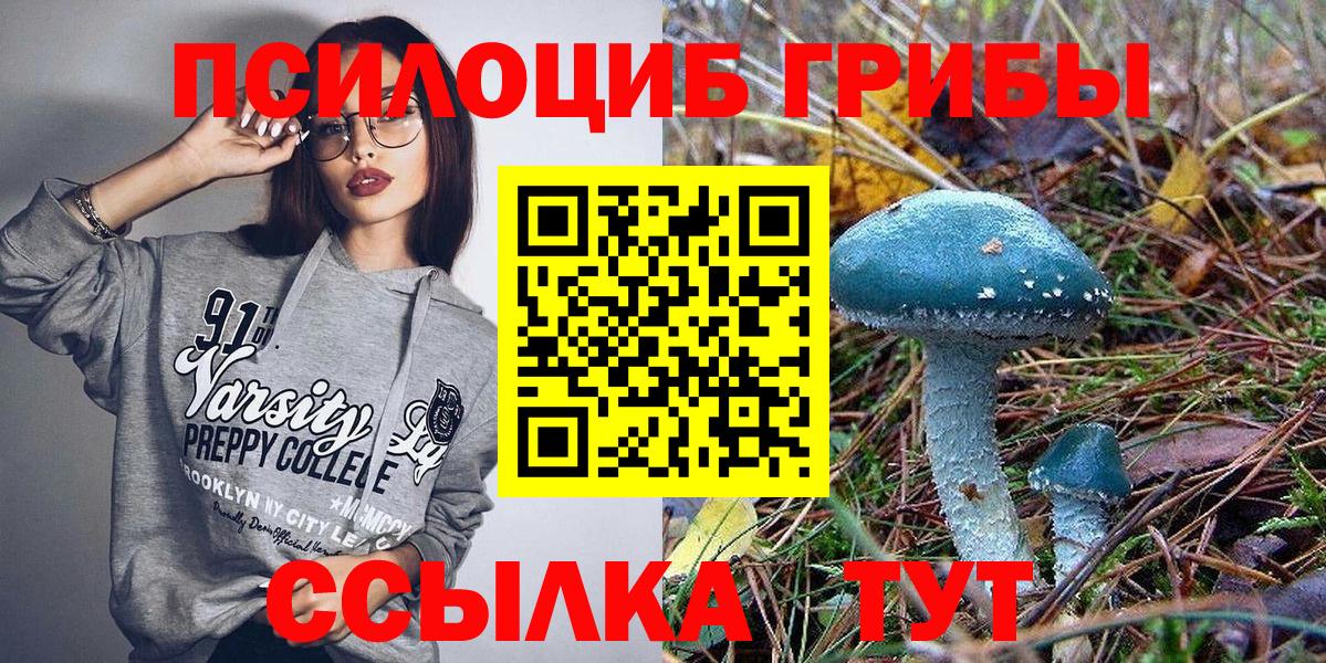Псилоцибиновые грибы Psilocybine cubensis  Вход с VPN  Псилоцибиновые грибы мицелий  Гуково 